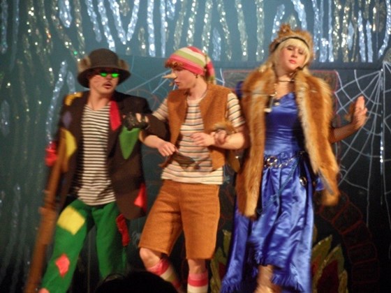 концерты спектакли театр-шоу "Диво" фото : сказки