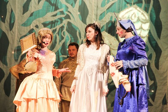 концерты спектакли театр-шоу "Диво" фото : сказки